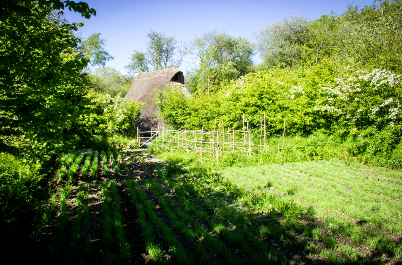 Reconstruction of a Neolithic farm at the Irish National Heritage Park